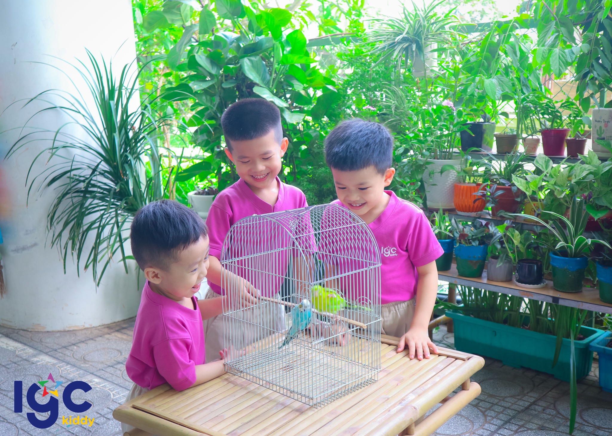 KHỞI ĐỘNG MÙA HÈ TƯƠI MỚI CÙNG CÁC BẠN NHỎ IGC KIDDY QUẬN 7