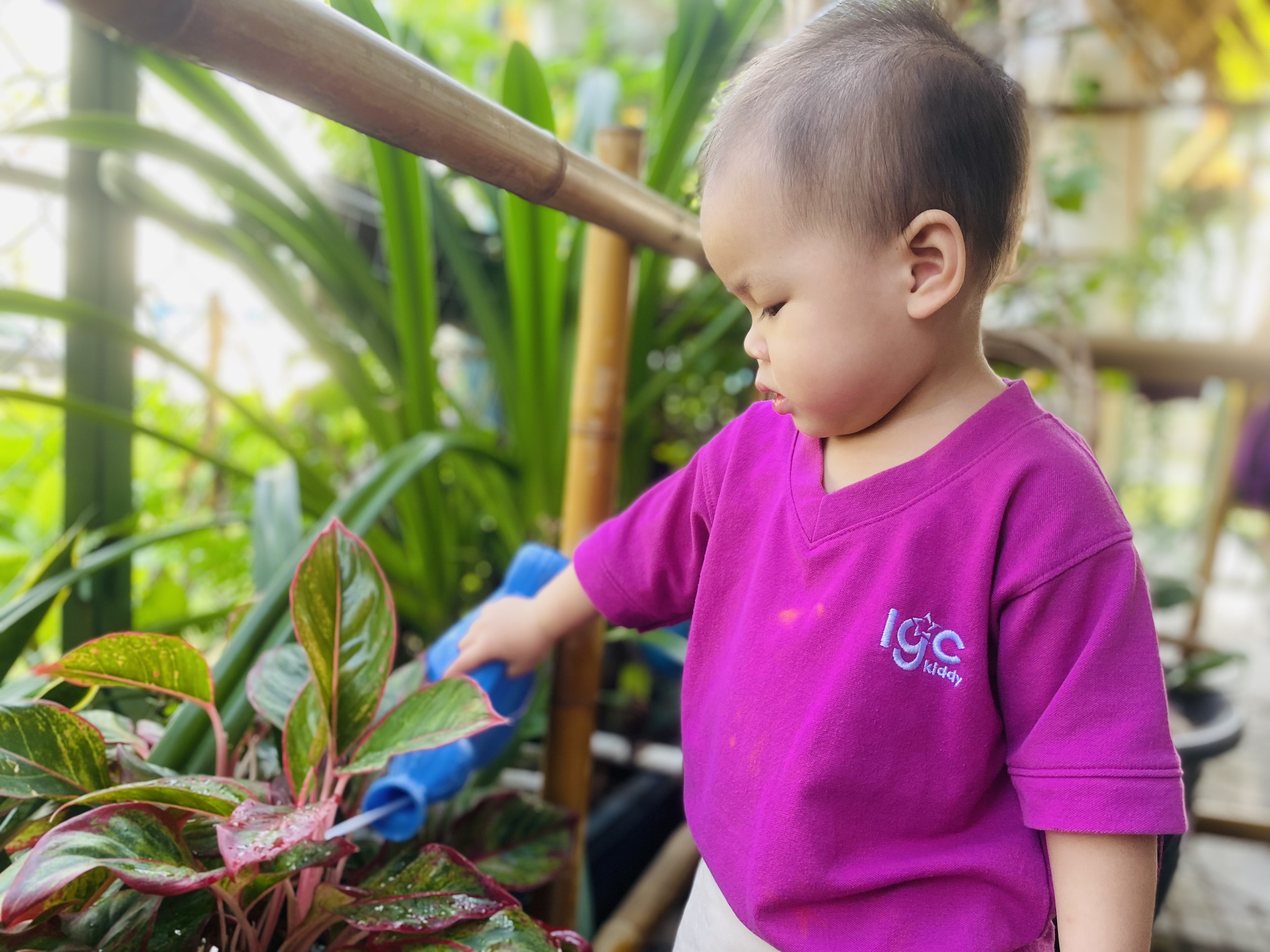 21 NGÀY TRẺ THỰC HÀNH SỐNG XANH