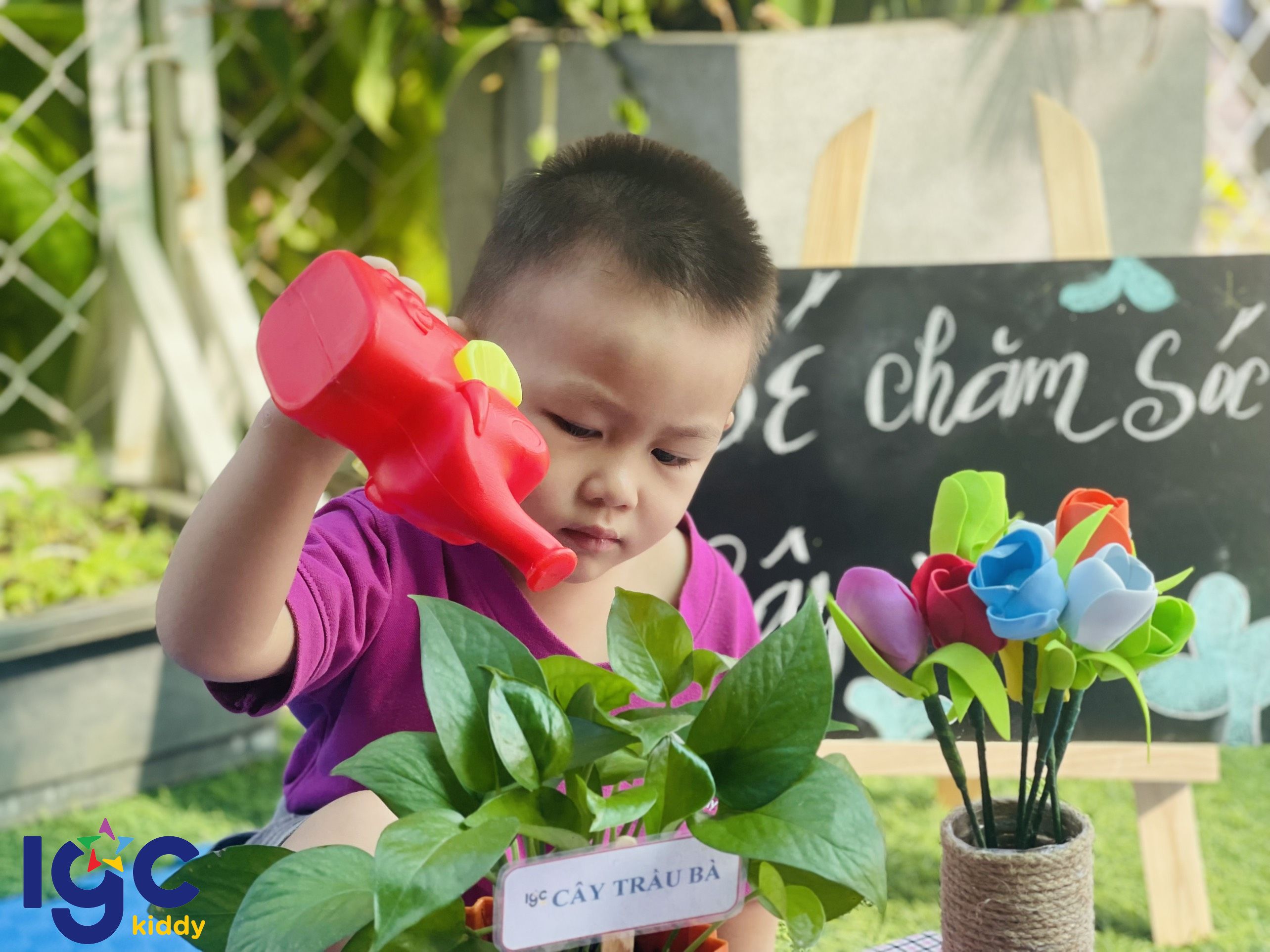 CHĂM SÓC CÂY XANH - HÀNH ĐỘNG NHỎ, Ý NGHĨA LỚN